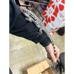 Silver Flame Tegu (Anery Red x Black & White) - Image 2
