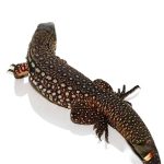 Snowmaker Tegu - Image 2